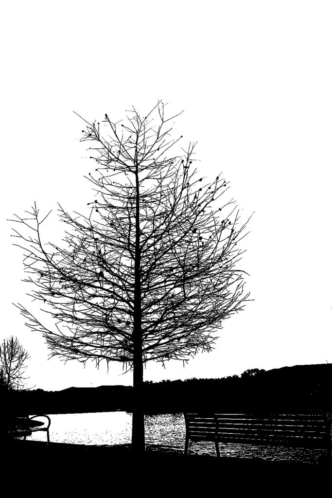 Winterbody 683x1024